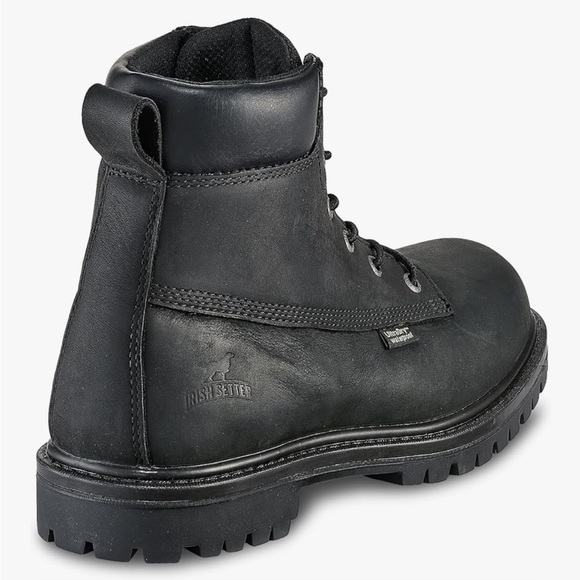 Irish Setter Hopkins 6\